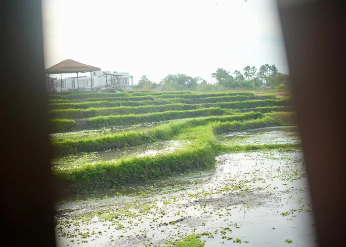 In Seminyak Mitra Dua Ricefield View Relax Villa *